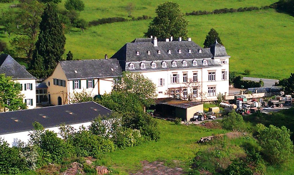 Appartamento Haus Sonnenschein Wiltingen Esterno foto