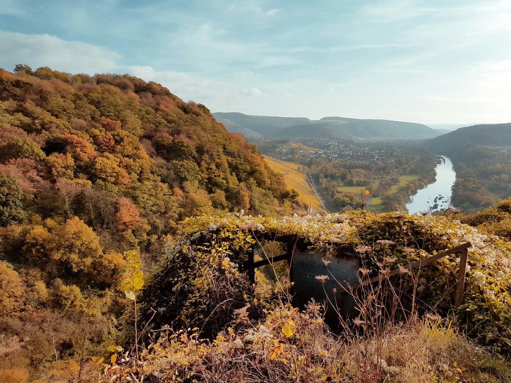 Appartamento Haus Sonnenschein Wiltingen Esterno foto