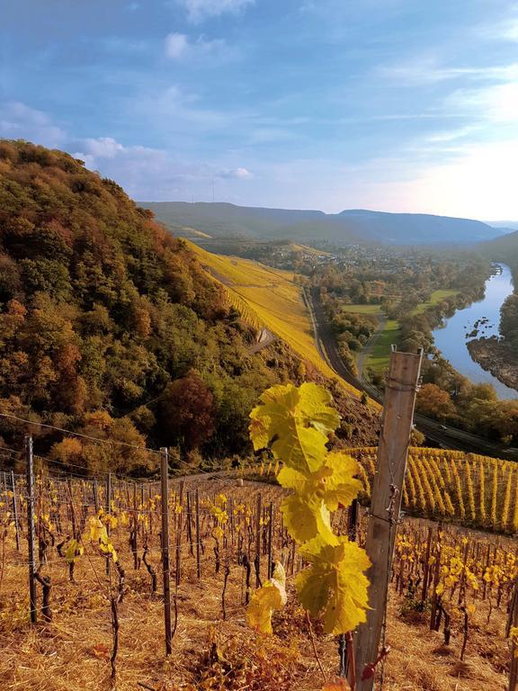 Appartamento Haus Sonnenschein Wiltingen Esterno foto