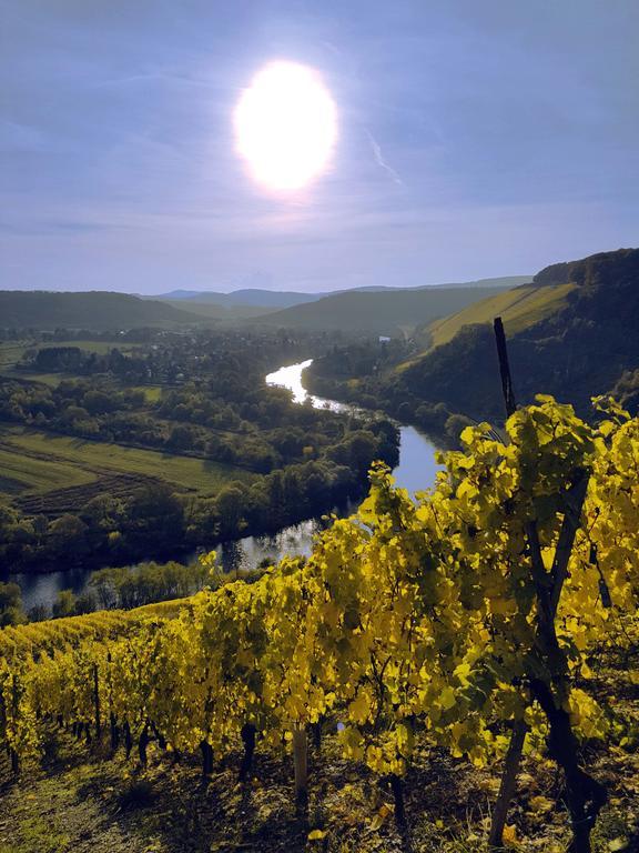 Appartamento Haus Sonnenschein Wiltingen Esterno foto
