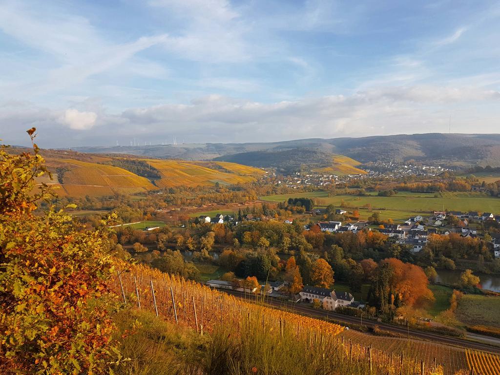 Appartamento Haus Sonnenschein Wiltingen Esterno foto